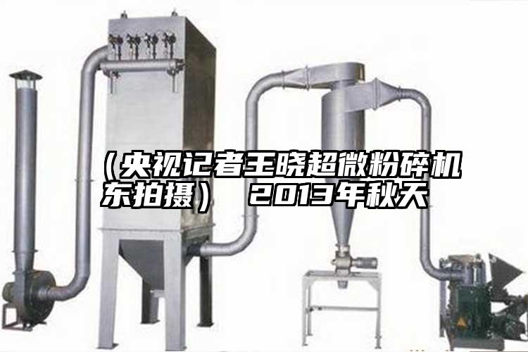 （央視記者王曉超微粉碎機(jī)東拍攝） 2013年秋天