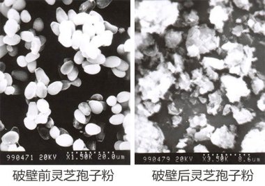 操作簡便等氣流粉碎機眾多優(yōu)點